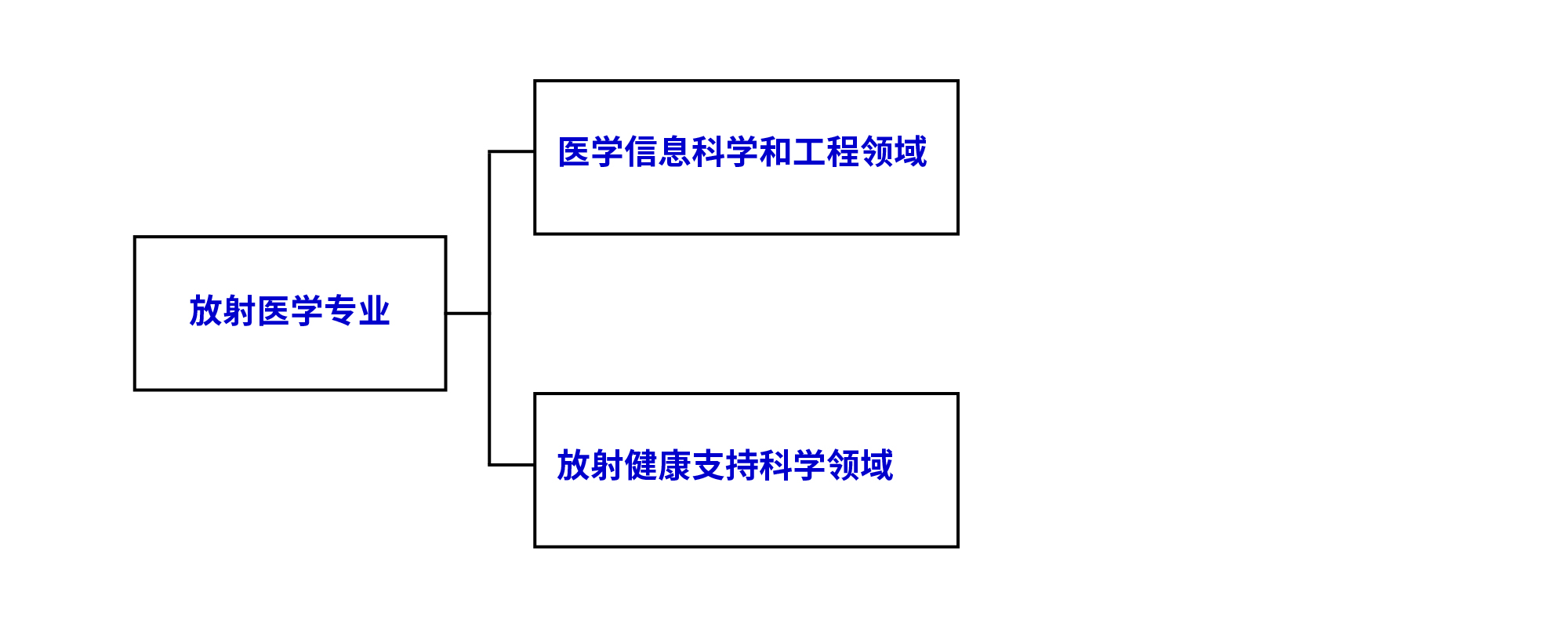 検査技術科学分野の概要図