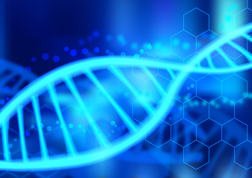 検査技術科学専攻_卒業生