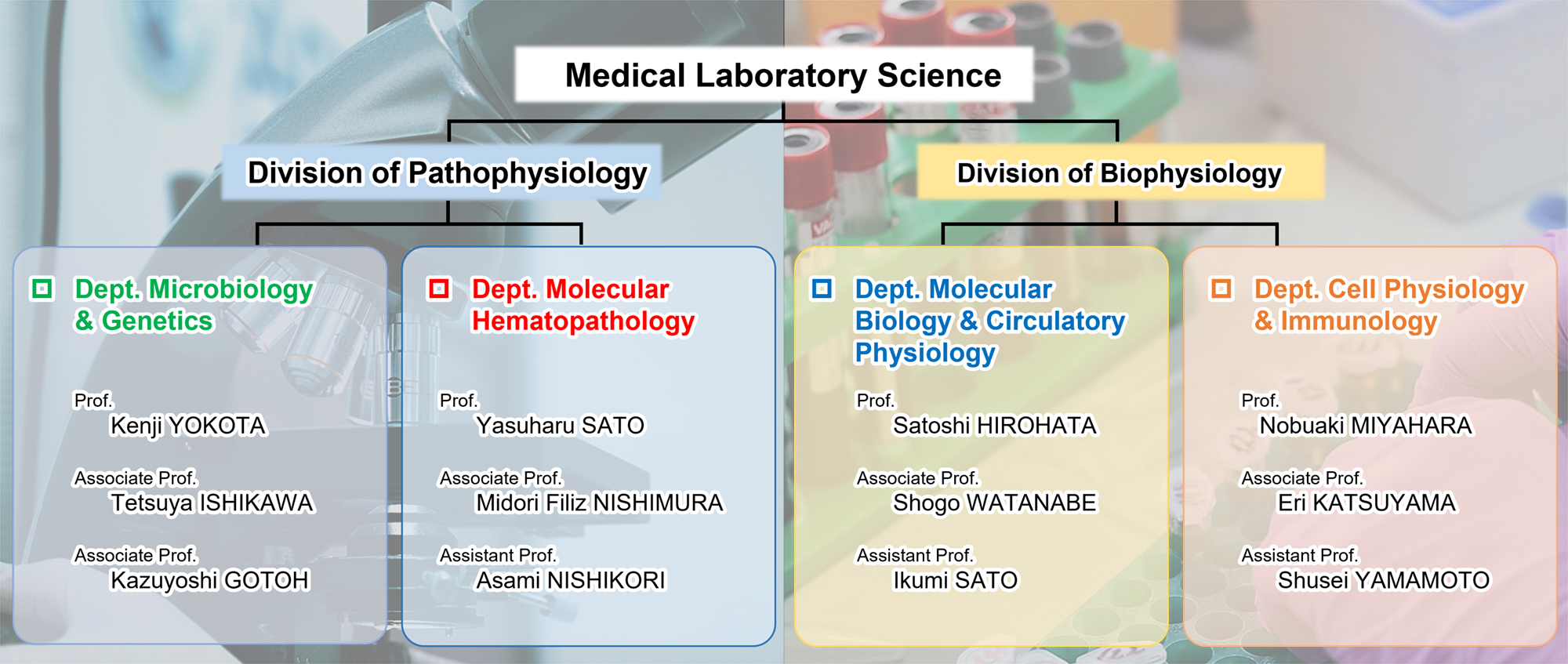 検査技術科学分野の概要図