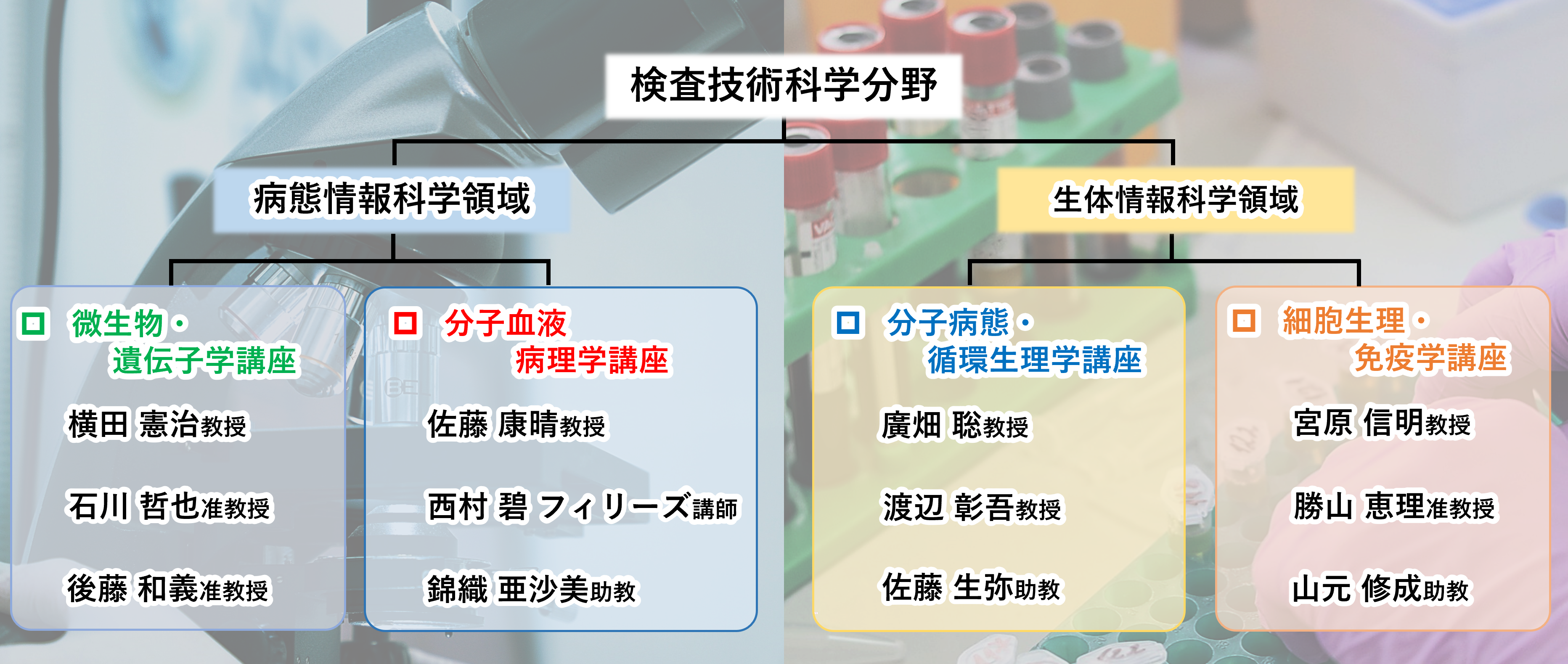 検査技術科学分野の概要図