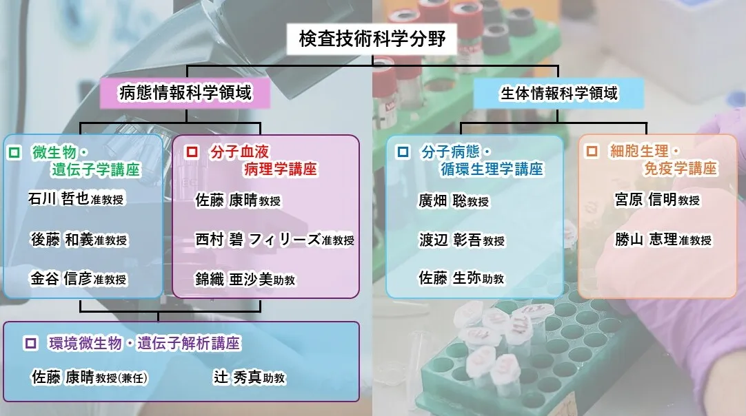 検査技術科学分野の概要図